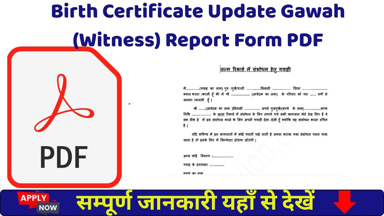 Birth Certificate Update Gawah (Witness) Report Form PDF