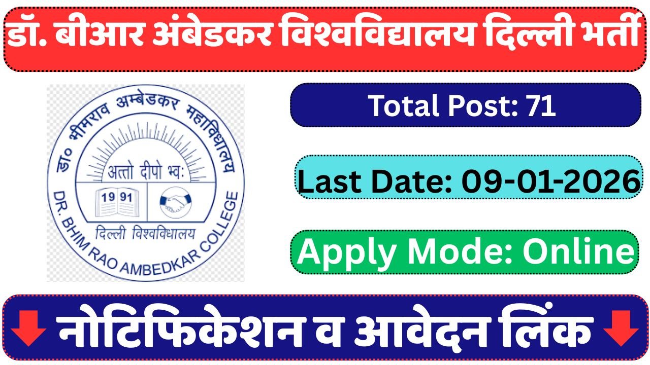 Dr. BR Ambedkar University Delhi Recruitment 2025