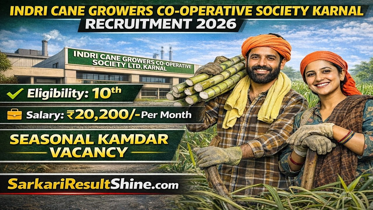 Indri Cane Growers Co-Operative Society Karnal Recruitment 2026