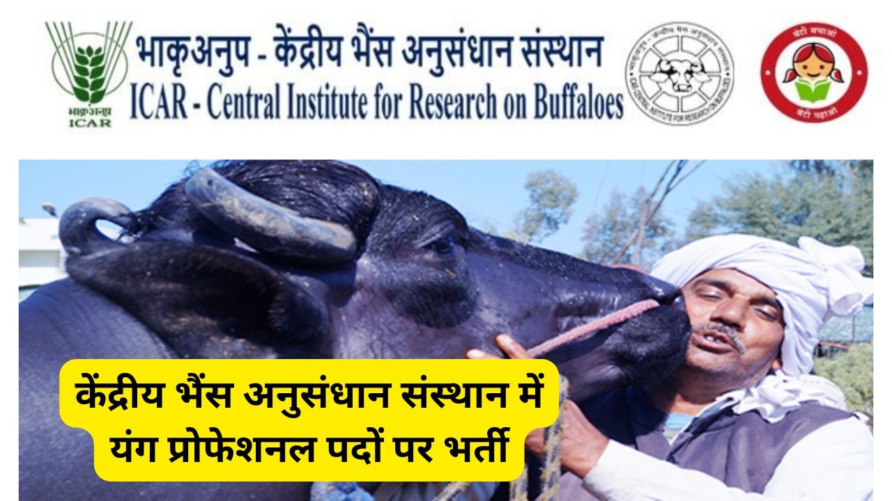 ICAR-Central Institute for Research on Buffaloes